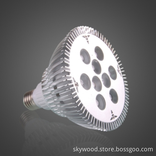 9x1W High Power LED Par Light, PAR38